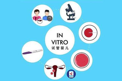爱心试管代怀网【爱心试管代怀网:繁育之爱,温暖之家】