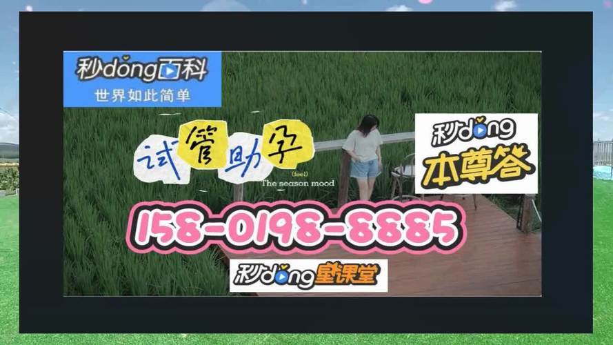 QQ群试管代怀(QQ群代怀试管,助您实现梦想”)